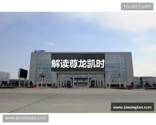 尊龙凯时电子竞技平台安全保障措施确保玩家权益与游戏环境的稳定