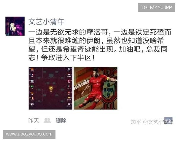 世界杯伊朗VS比利时比赛风险提示，助力球迷理清赛事安全与观赛注意事项